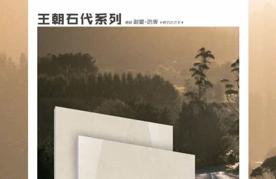 王朝石代係列 | WAP126907B 卡洛斯灰：動靜間讓家居空間變得更有質感
