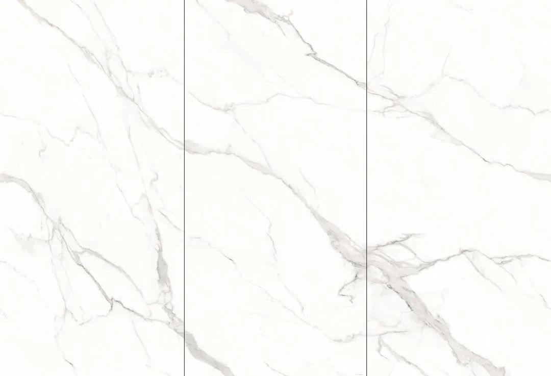 【新品】奢華定製，1600x3200mm成就大宅風範！(圖24)